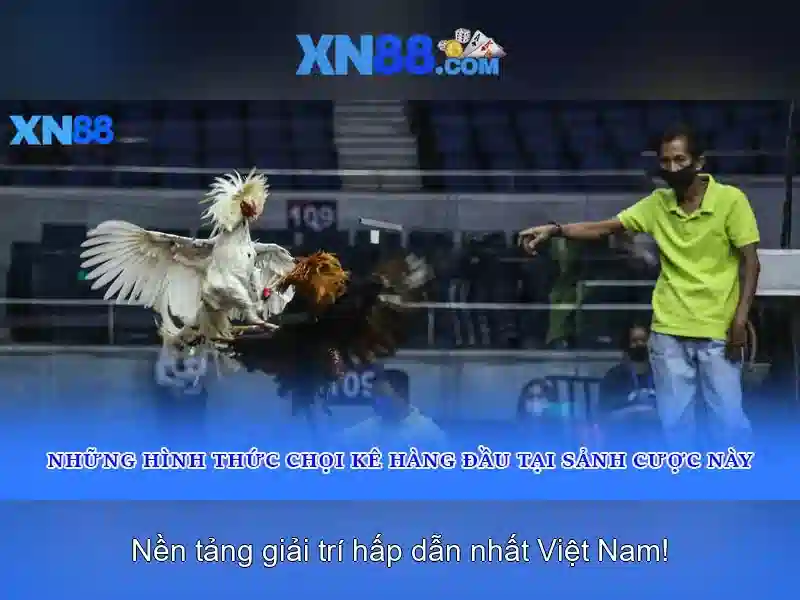 Nguồn gốc và sứ mệnh