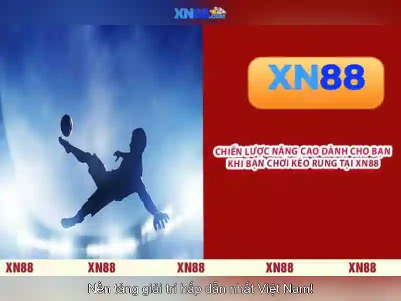 Kết luận và triển vọng