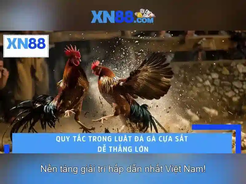 XN88: Nền tảng giải trí trực tuyến an toàn