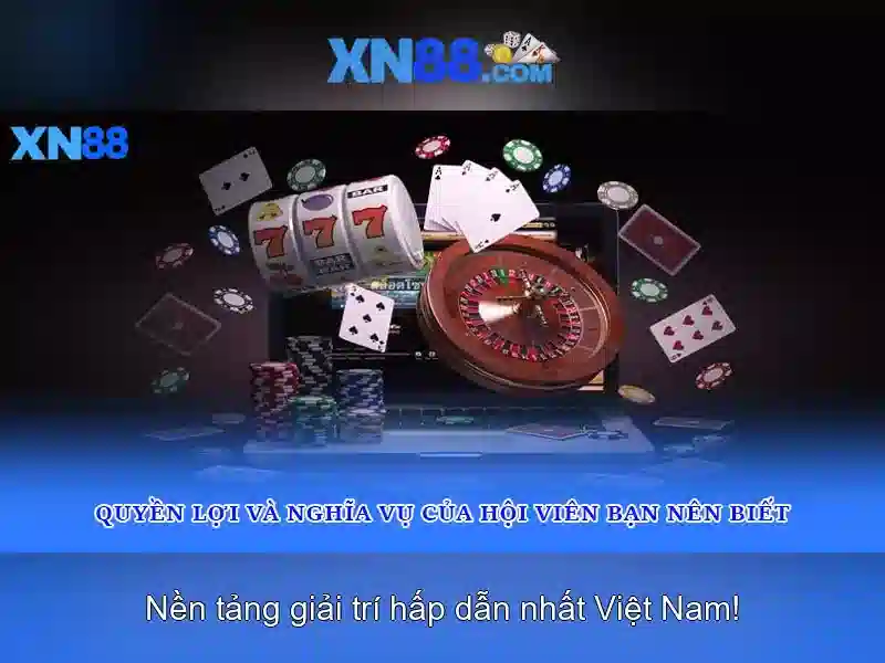 Các tính năng nổi bật