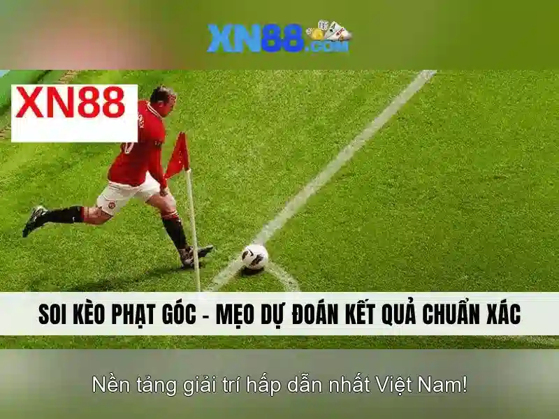 xn88: Giới thiệu, an toàn và hướng dẫn sử dụng