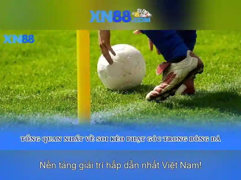 Xn88: Khám phá nền tảng cá cược an toàn