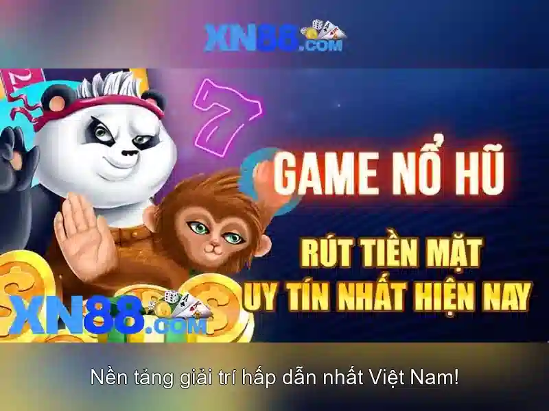 Xn88: Một cái nhìn tổng quan về nền tảng cá cược trực tuyến