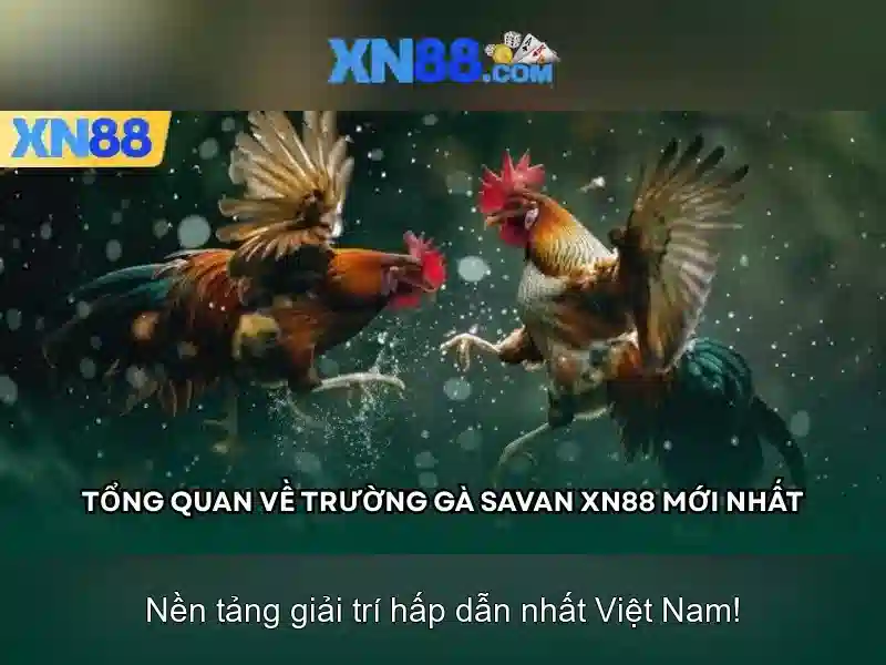 Cam kết về an toàn và uy tín\n Cam kết về an toàn và uy tín\n