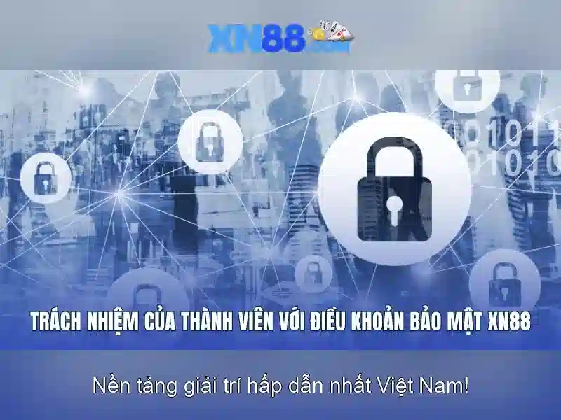 Hướng dẫn sử dụng cơ bản
