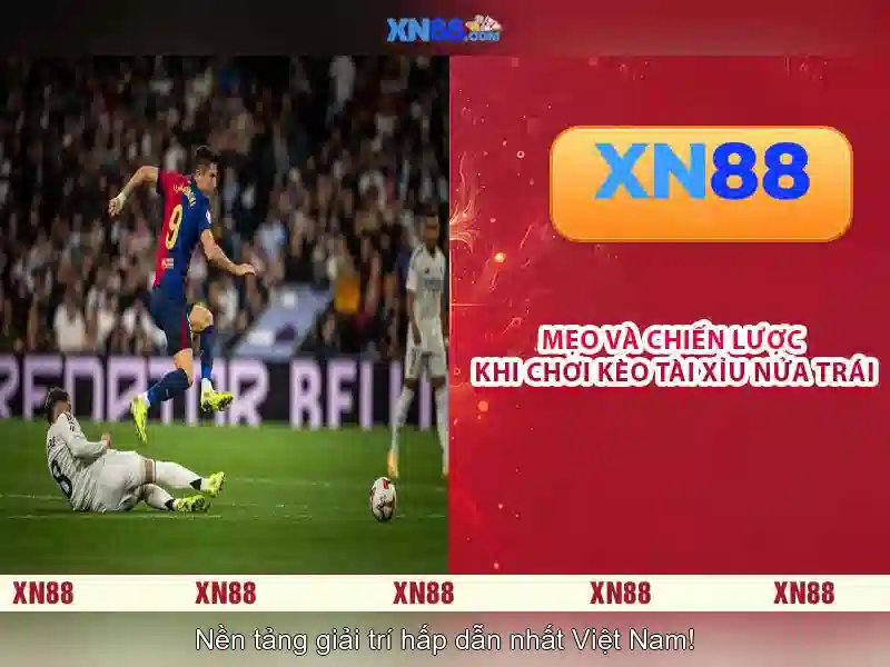 Lịch sử và sự phát triển của xn88 