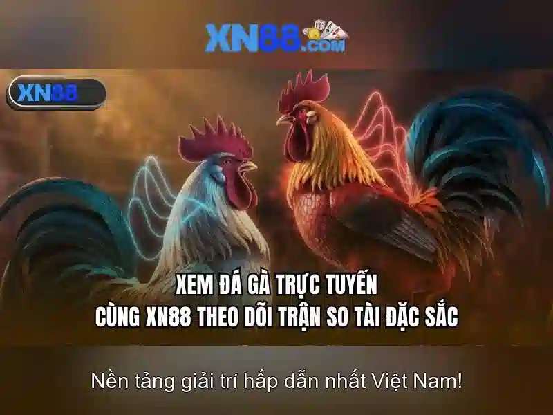 Lịch sử và nguồn gốc