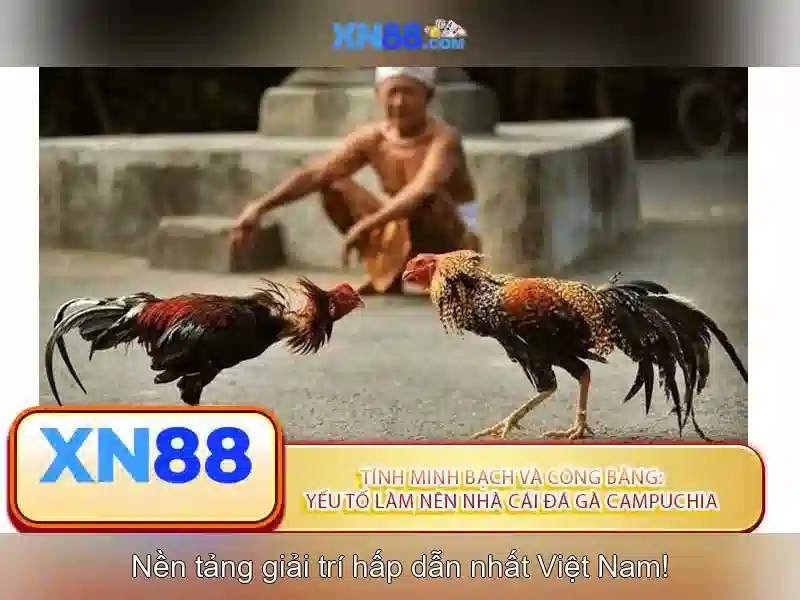 Thanh toán và khuyến mãi tại xn88