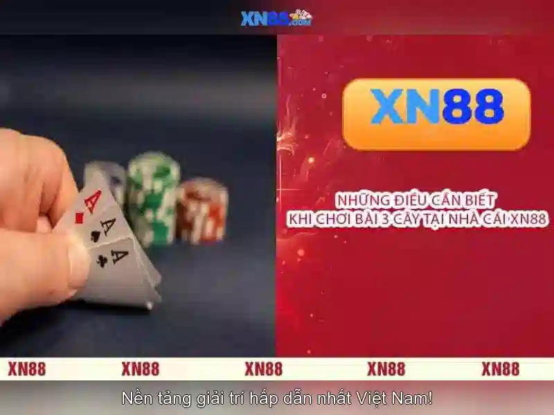 Nền tảng và lịch sử phát triển