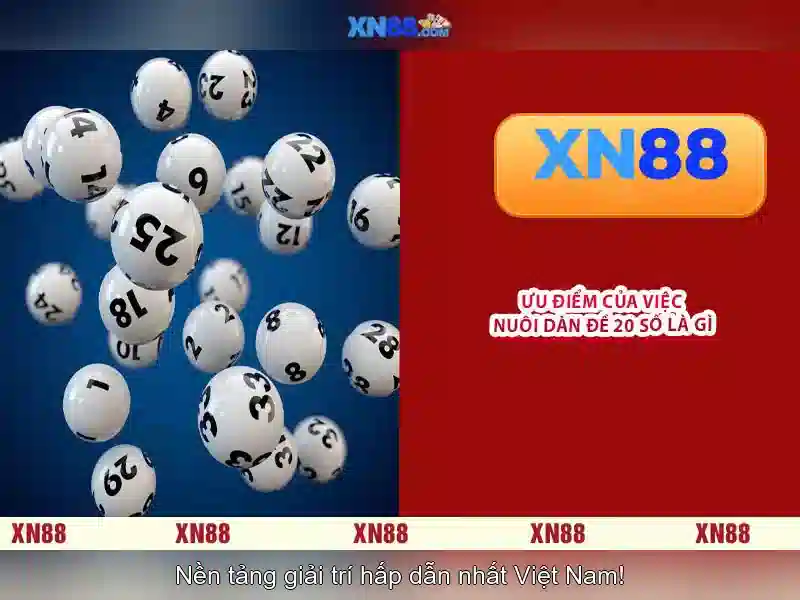 xn88: Tìm hiểu về nền tảng và cộng đồng