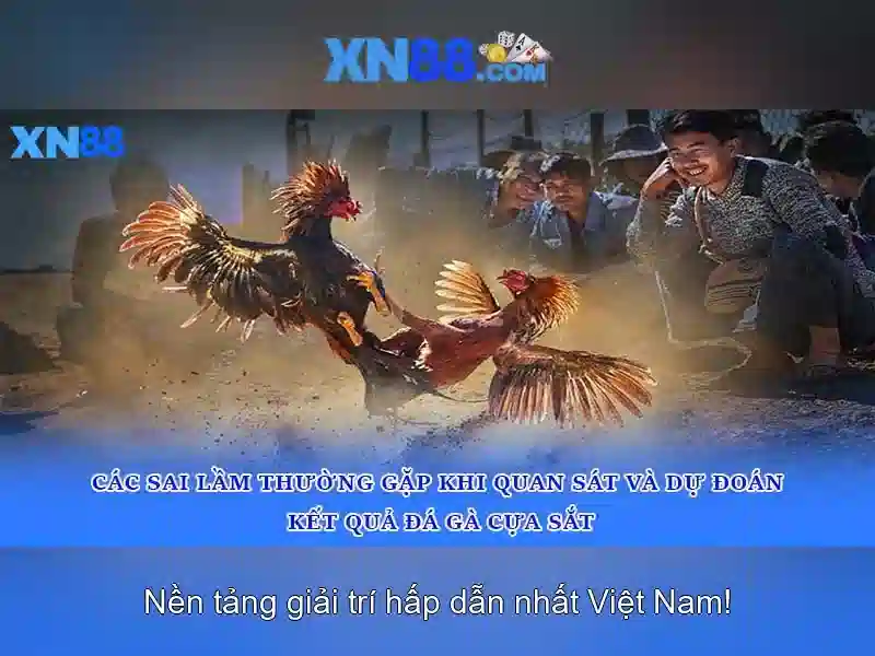 xn88: Tong quan ve nen tang choi game truc tuyen