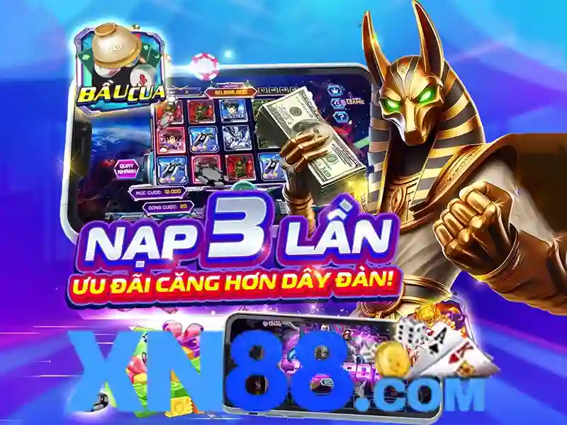 Độ an toàn và trách nhiệm người chơi